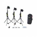 Dedolight KD3B 3-head basic 150W 24v Dimmer Lighting Kit in deluxe DSC2 soft case (KD-3B) Dedolight KD3B 3-head basic 150W 24v Dimmer Lighting Kit in deluxe DSC2 soft case (KD-3B)